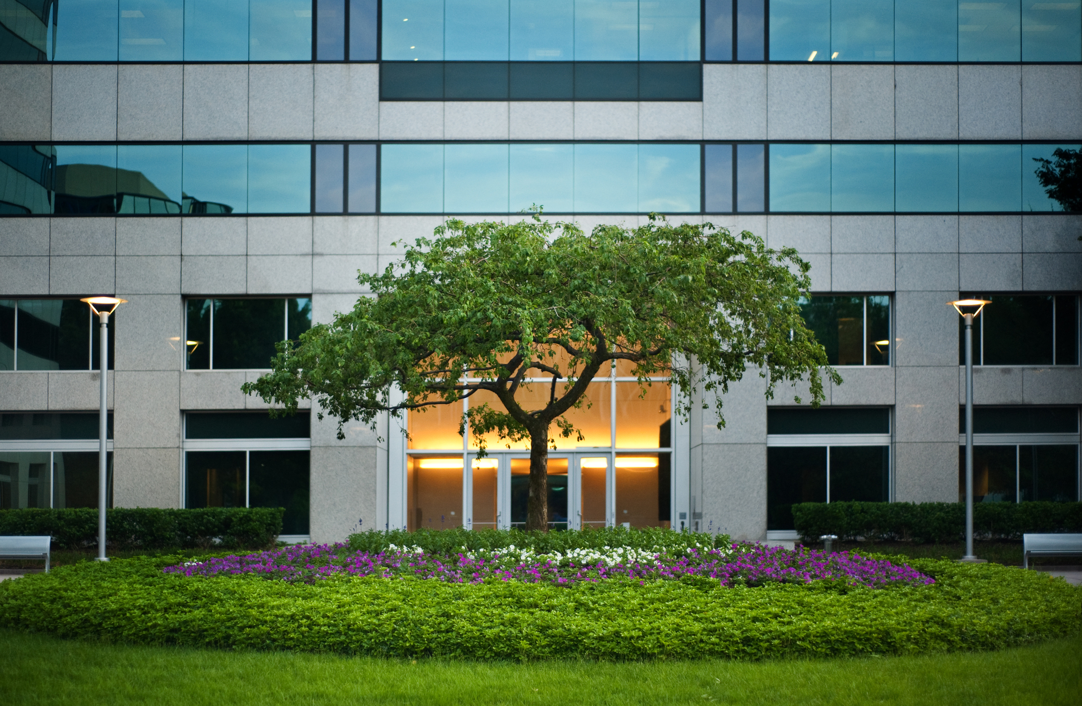 commercial office landscaping