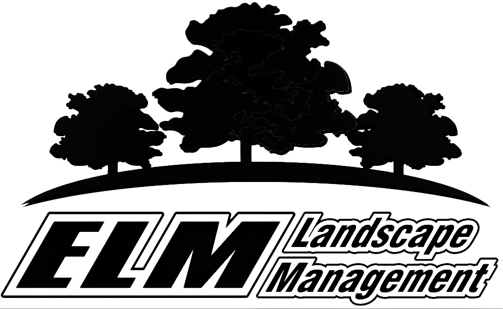 black logo transparent background